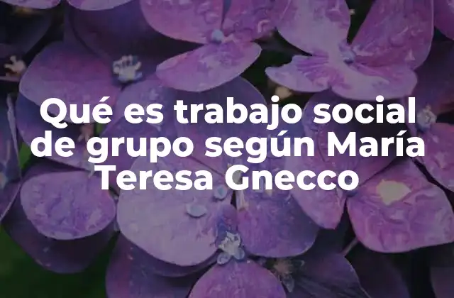 Qué es Trabajo Social de Grupo según María Teresa Gnecco