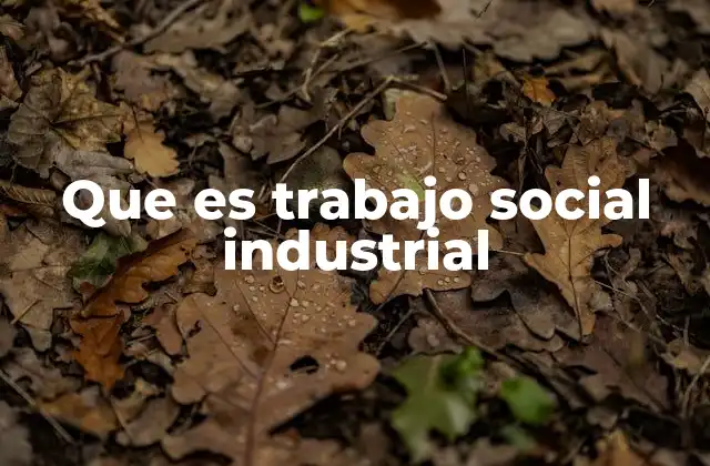 Que es Trabajo Social Industrial 2 El enfoque del trabajo social en el entorno laboral
