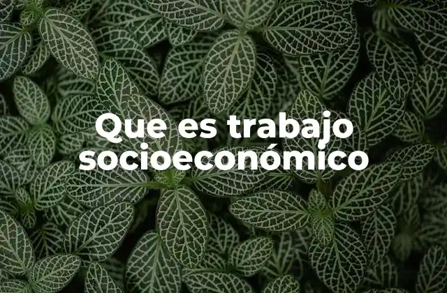 Que es Trabajo Socioeconómico
