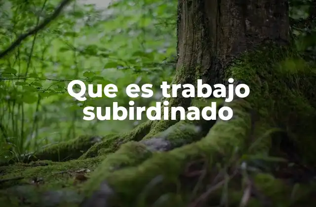 Que es Trabajo Subirdinado 2 Características del trabajo subordinado