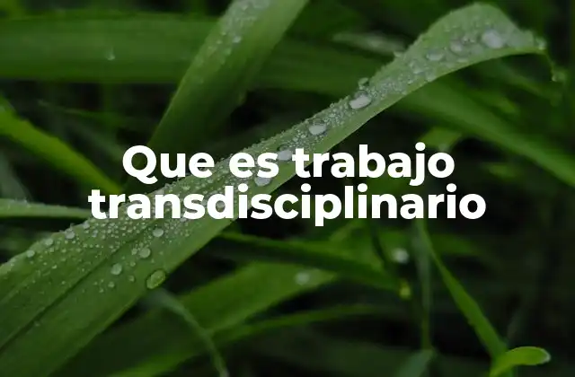 Que es Trabajo Transdisciplinario