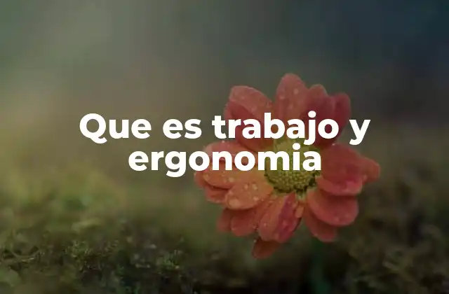 Que es Trabajo y Ergonomia