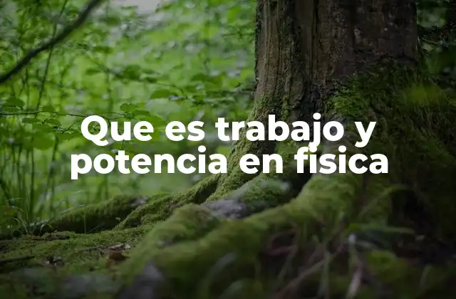 Que es Trabajo y Potencia en Fisica