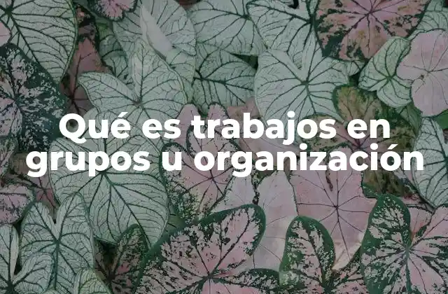 Qué es Trabajos en Grupos u Organización