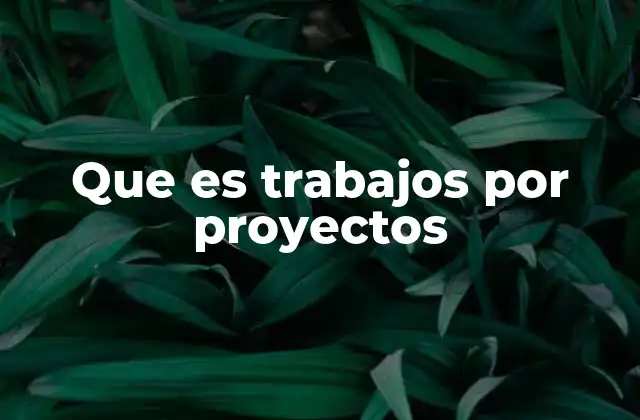 Que es Trabajos por Proyectos