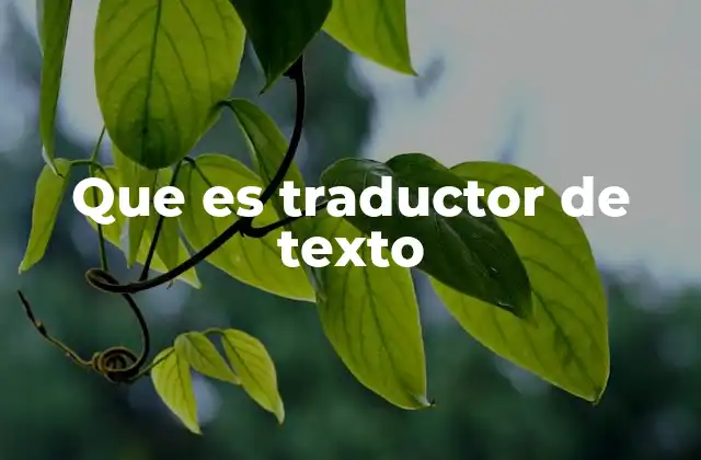 Que es Traductor de Texto