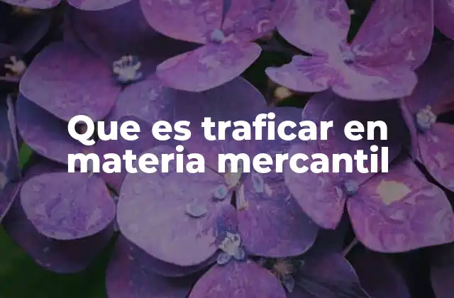 Que es Traficar en Materia Mercantil