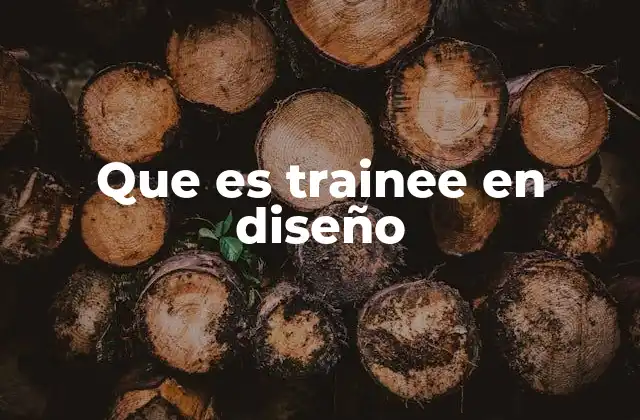 Que es Trainee en Diseño