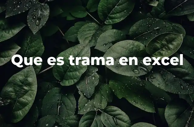 Que es Trama en Excel