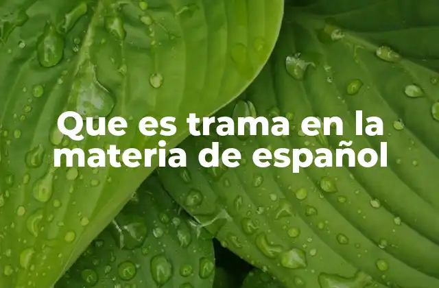 Que es Trama en la Materia de Español