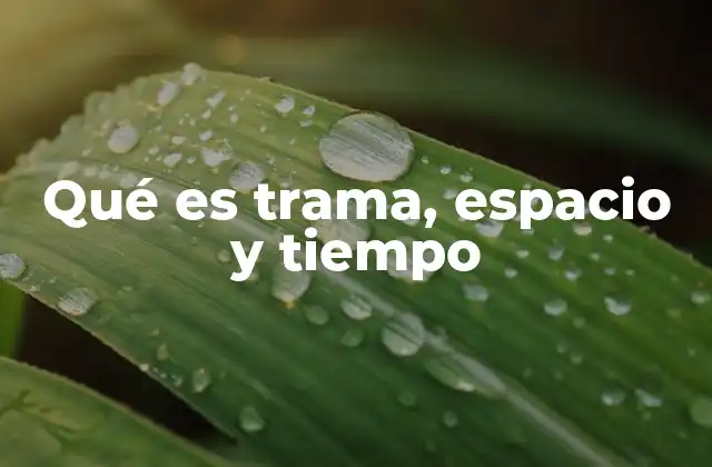 Qué es Trama, Espacio y Tiempo