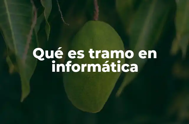 Qué es Tramo en Informática