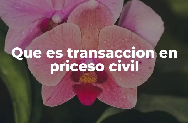 Que es Transaccion en Priceso Civil