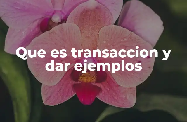 Que es Transaccion y Dar Ejemplos