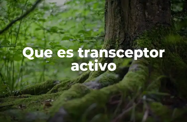 Que es Transceptor Activo 2 Componentes y funcionamiento de los transceptores activos