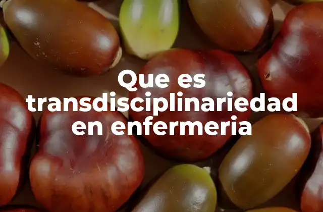 Que es Transdisciplinariedad en Enfermeria