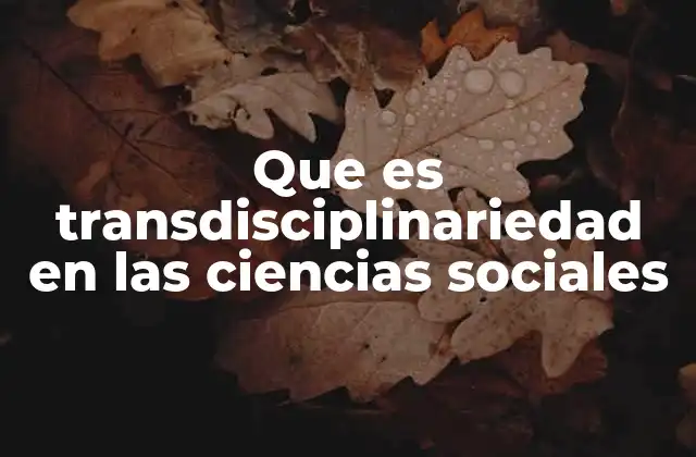 Que es Transdisciplinariedad en las Ciencias Sociales