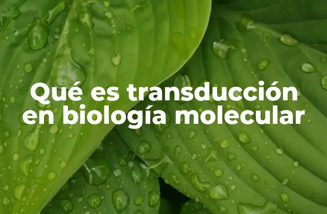 Qué es Transducción en Biología Molecular 2 El papel de los bacteriófagos en la transferencia genética
