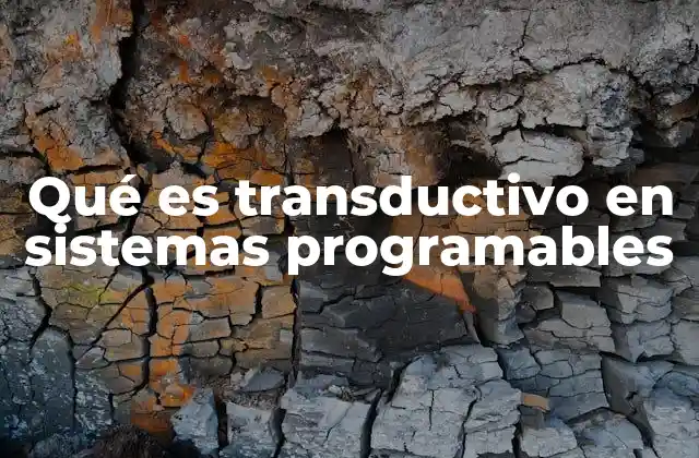 Qué es Transductivo en Sistemas Programables 2 Sistemas programables y la lógica detrás del razonamiento transductivo
