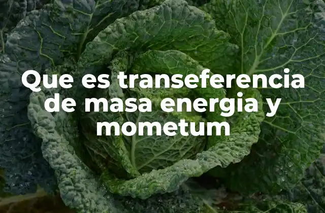 Que es Transeferencia de Masa Energia y Mometum 2 La relación entre masa, energía y momento en la física clásica y moderna