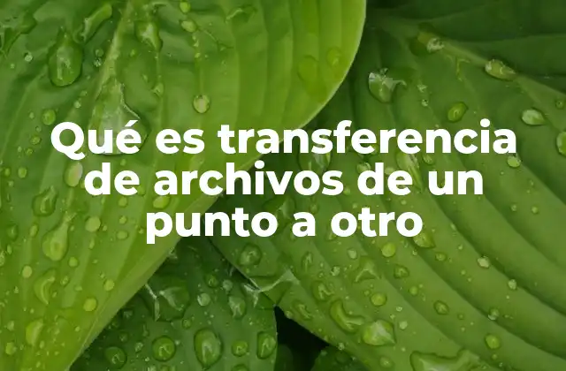 Qué es Transferencia de Archivos de un Punto a Otro