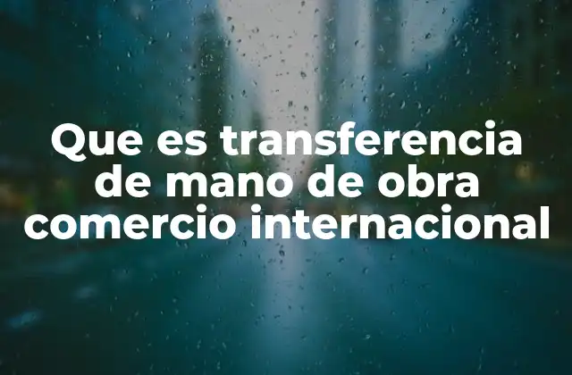 Que es Transferencia de Mano de Obra Comercio Internacional