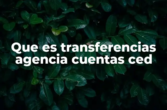 Cómo operan las transferencias a través de agentes autorizados
