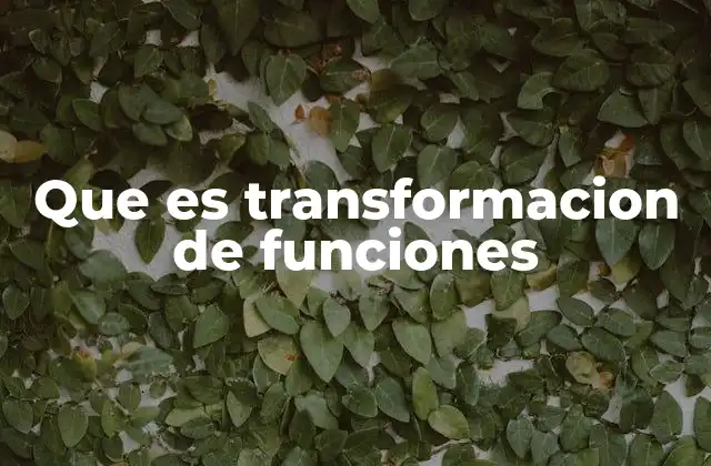 Que es Transformacion de Funciones 2 Cambios visuales y algebraicos en funciones