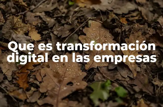 Que es Transformación Digital en las Empresas