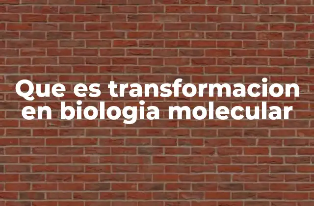 Que es Transformacion en Biologia Molecular