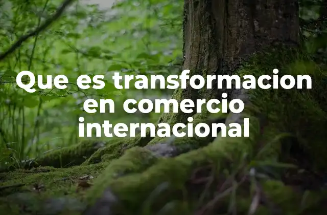 Que es Transformacion en Comercio Internacional