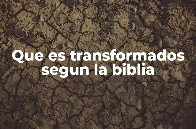 El proceso de transformación espiritual en la vida cristiana