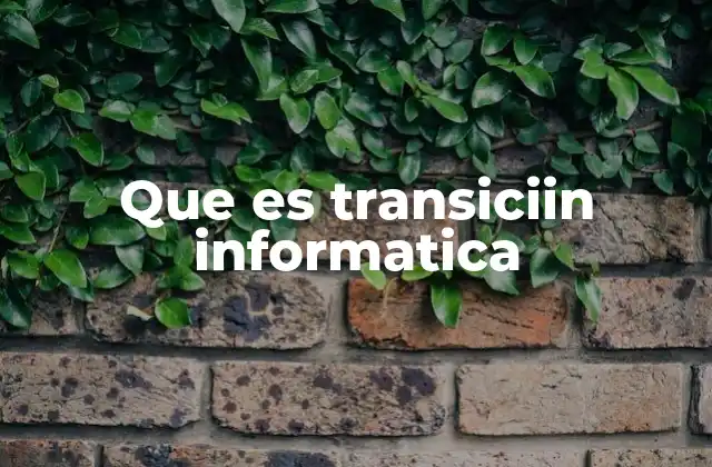 Que es Transiciin Informatica