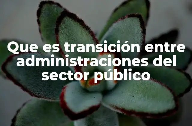 Que es Transición entre Administraciones Del Sector Público