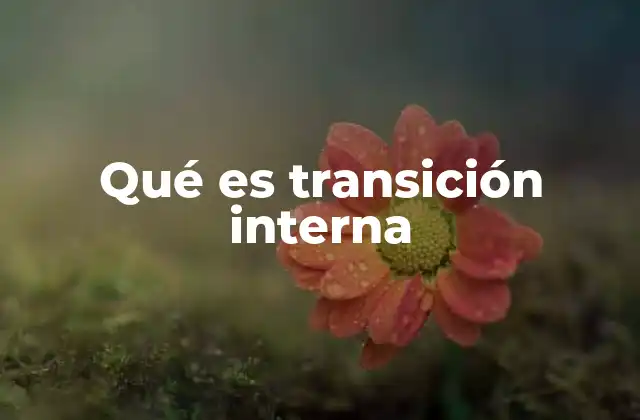 Qué es Transición Interna