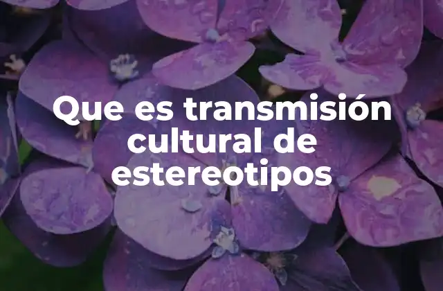 Que es Transmisión Cultural de Estereotipos