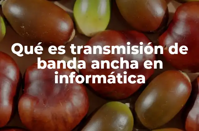 Qué es Transmisión de Banda Ancha en Informática