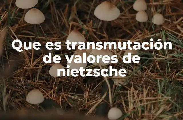Que es Transmutación de Valores de Nietzsche
