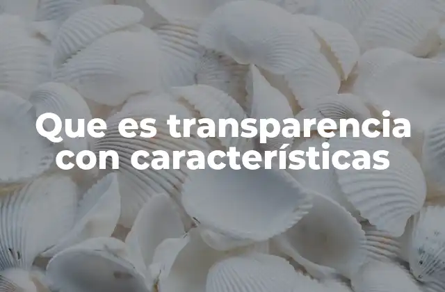 Que es Transparencia con Características
