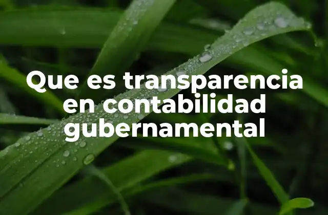 Que es Transparencia en Contabilidad Gubernamental