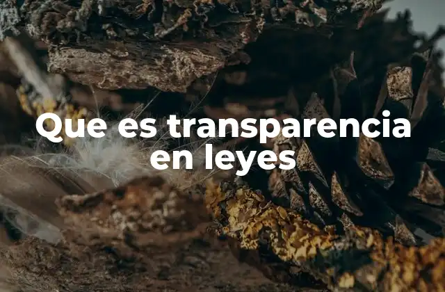 Que es Transparencia en Leyes