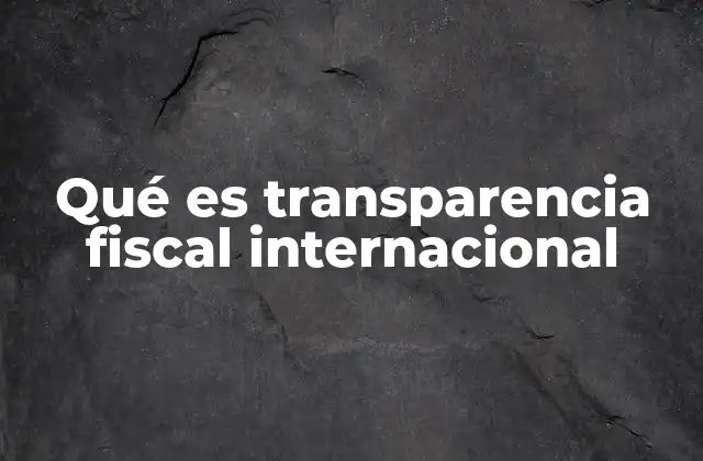Qué es Transparencia Fiscal Internacional 2 La importancia de la colaboración entre gobiernos para evitar la evasión fiscal