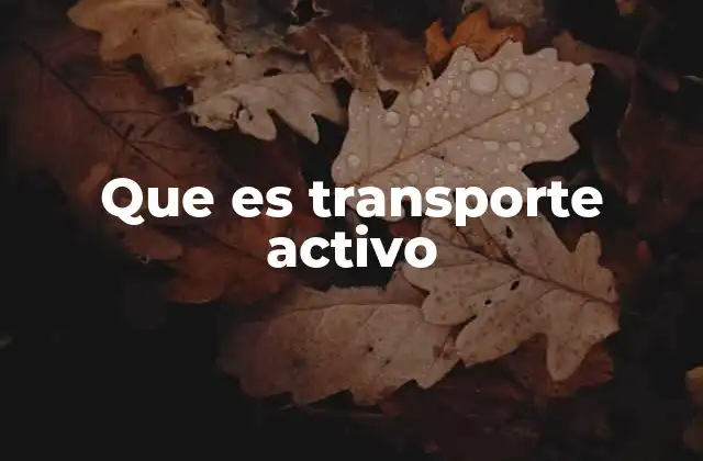 Que es Transporte Activo
