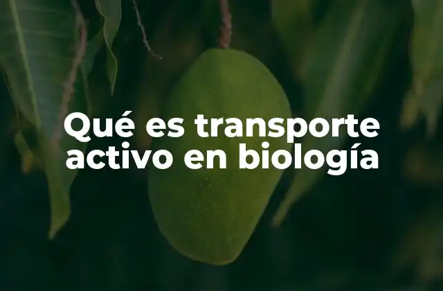 Qué es Transporte Activo en Biología