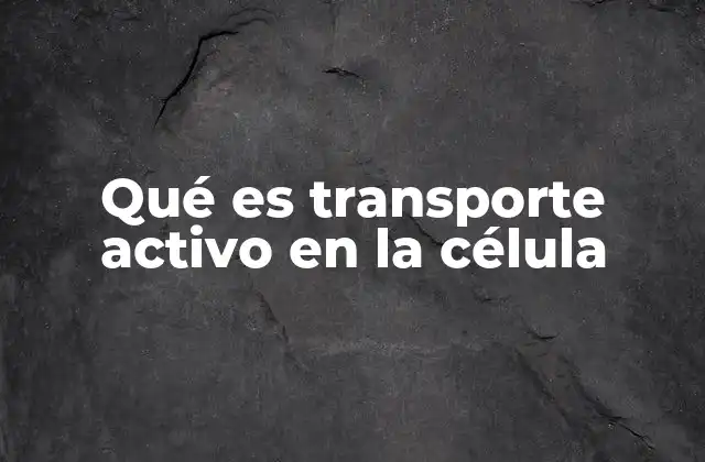 El papel del transporte activo en la regulación celular