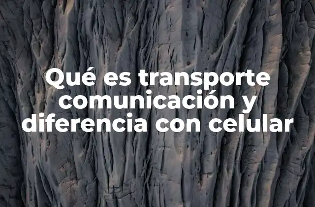 Qué es Transporte Comunicación y Diferencia con Celular