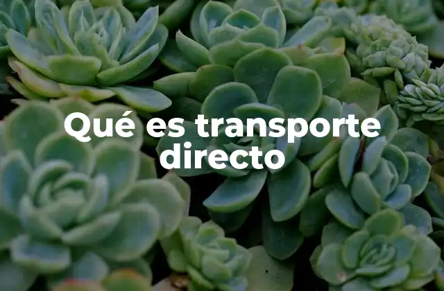 Qué es Transporte Directo