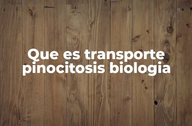 Que es Transporte Pinocitosis Biologia