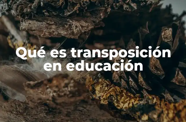 Qué es Transposición en Educación