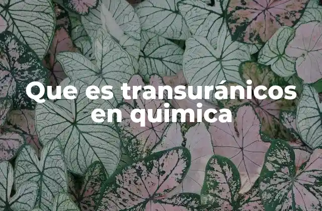 Que es Transuránicos en Quimica